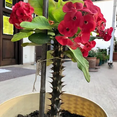 Reutlingen Hof Hotel 3*